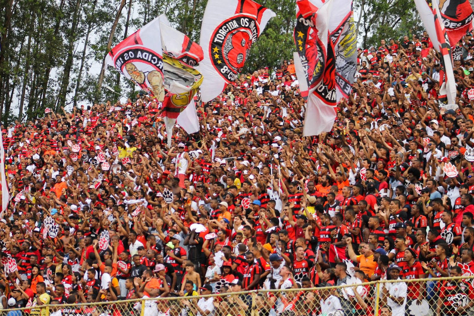 Rubro-Negros tem até sábado para tomar decisão importante a respeito do clube